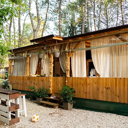 Campingplads каравана морски блясък