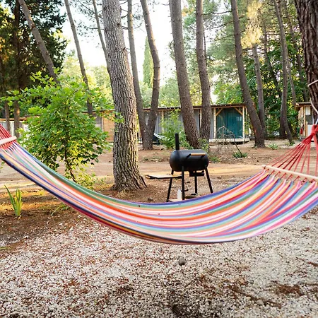 каравана морски блясък *